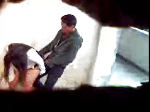 स्क्यान्की केटी टेलर ...